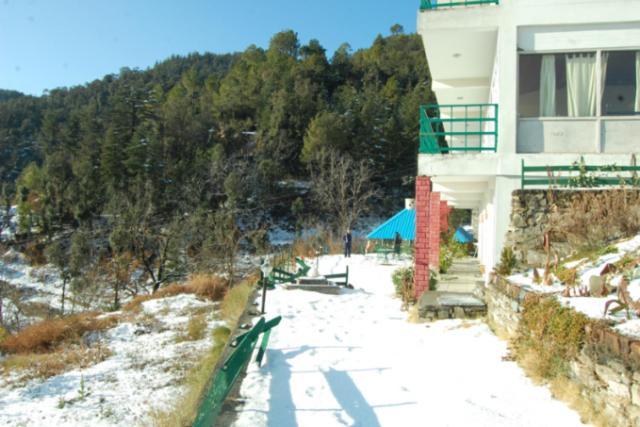 Natureraga Fernhill Resort Chail Eksteriør billede