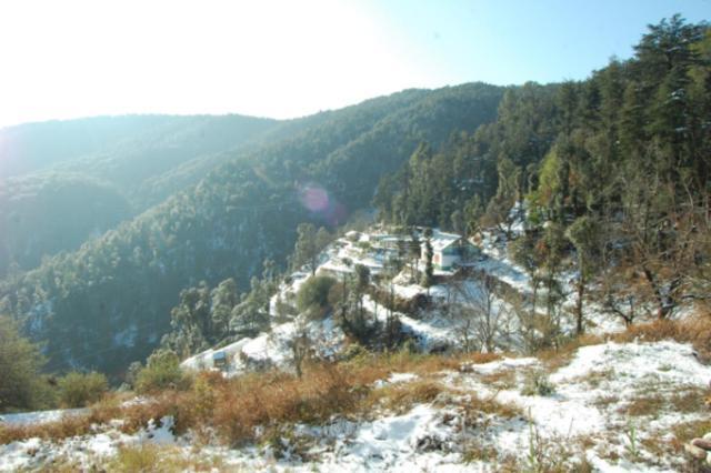 Natureraga Fernhill Resort Chail Eksteriør billede