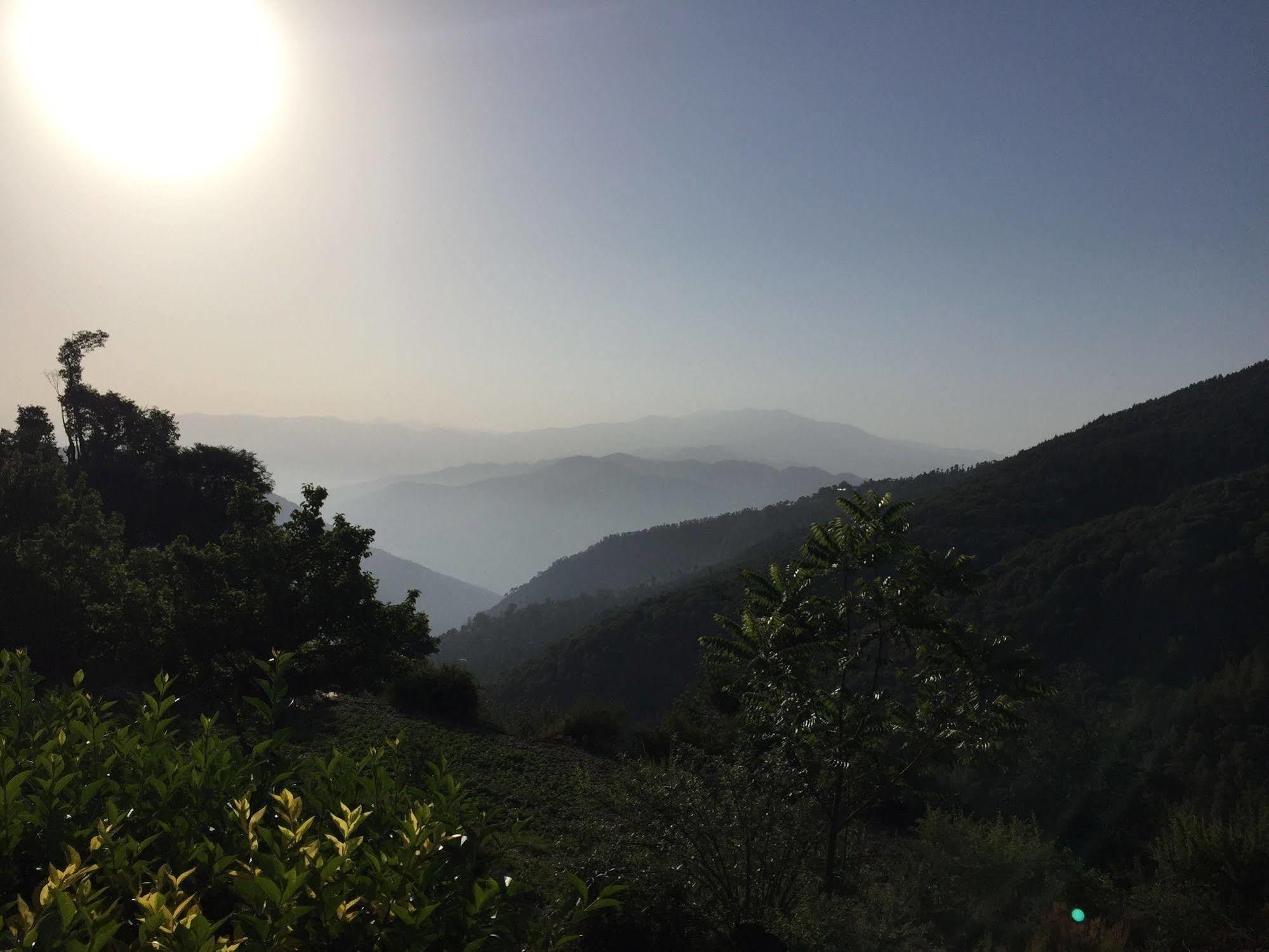 Natureraga Fernhill Resort Chail Eksteriør billede
